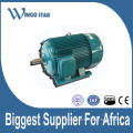 electric vibrating motor